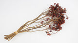 Japanese roses berry dried Earth Matters - 1 bunch - natural color rust