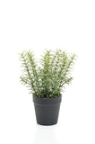 Thym artificiel 22 cm - 1 pot - Vert