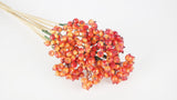 Berry cluster on stem - 1 Bunch - Flame