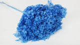 Preserved hydrangea Anna - 1 head - Blue