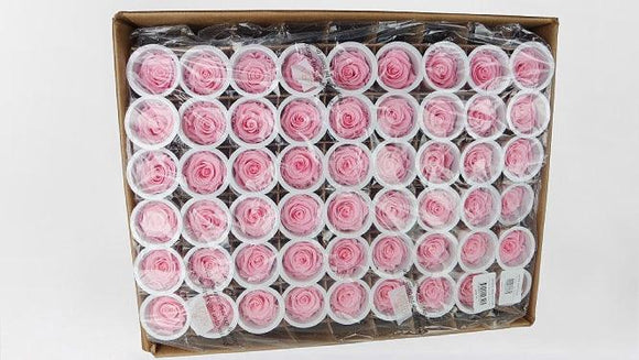 Roses stabilisées Kiara 6 cm - 1,90€/rose Bulk 432 têtes - Bridal pink