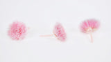 Chrysantheme mini Kogiku konserviert Earth Matters - 12 Köpfe - Sherbet Pink 102 - Si-nature