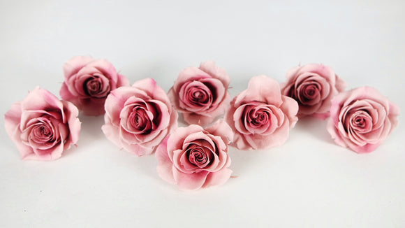 Roses stabilisées Grandeur Small Earth Matters - 8 têtes - Mauve pink 192