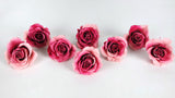 Roses stabilisées Grandeur Small Earth Matters - 8 têtes - Pink ruby 182