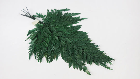 Davalia fern preserved - 6 stems - Green