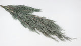 Cypress Hiba Earth Matters preservato - 2 pezzi - Wash white 012