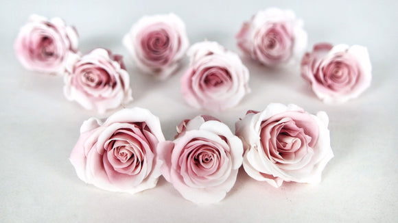 Roses stabilisées Izumi Souffle Earth Matters - 9 têtes - Champagne mauve 092