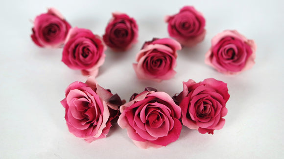 Roses stabilisées Izumi Souffle Earth Matters - 9 têtes - Pink ruby 182
