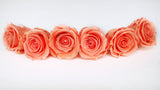 Stabilisierte Rosen Kiara 6 cm - 6 Stück - Papaya