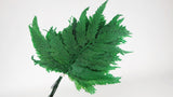 Fougère colombienne stabilisée - 10 tiges - Vert