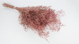 Limonium getrocknet - 1 Bund XL - Vintage rosa