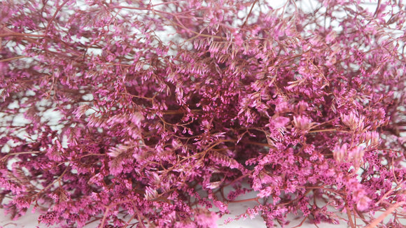 Limonium séché - 1 botte XL - Vintage rosa