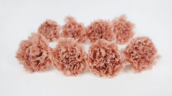 Carnations preserved Kiara - 8 heads - Antique pink