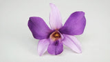 Orchidée Dendrobium Sonia stabilisée Earth Matters - 6 têtes - Purple 400