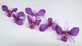 Orchidée Dendrobium Sonia stabilisée Earth Matters - 6 têtes - Purple 400