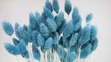 Dried phalaris - 1 bunch - Baby blue