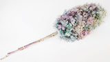 Preserved hydrangea Peegee - 1 head - Rainbow purple