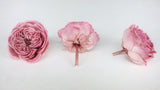 Roses anglaises stabilisées Elena Earth Matters - 6 têtes - Opera mauve 190
