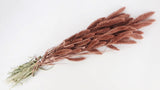 Setaria seca - 1 ramo - Blush Gold
