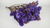 Statices stabilisées - 1 botte - Violet foncé