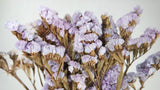 Statice preservado - 1 manojo - color natural violeta