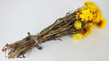 Strohblumen Granvia - 1 Bund - Naturfarbe gelb