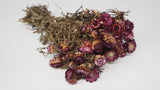 Strohblumen basic - 1 Bund - Naturfarbe lila