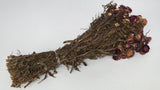 Strohblumen basic - 1 Bund - Naturfarbe lila