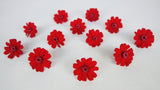Zinnia stabilisé Earth Matters - 12 têtes - Red 301