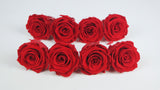 Preserved roses Kiara  5 cm - Bulk 336 heads 1,85€/rose - Vibrant red