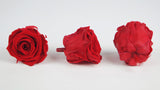 Roses stabilisées Kiara 5 cm - Bulk 336 têtes 1,85€/rose - Vibrant red