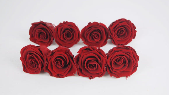 Roses stabilisées Kiara 5 cm - 8 têtes -  Royal red