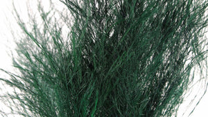 Tree fern stabilisé - 1 botte - Vert