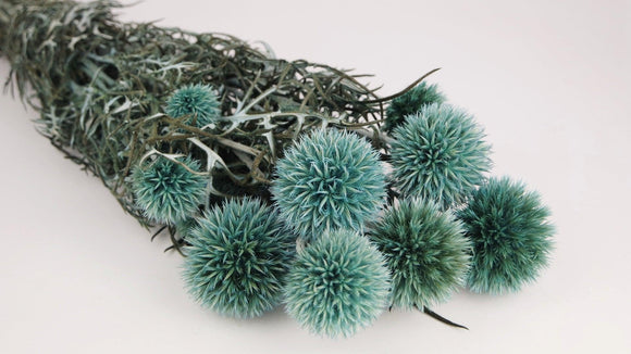 Echinops stabilisé - 1 bouquet - Turquoise