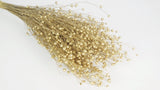 Flachs getrocknet - 1 Bund - Gold - Si-nature