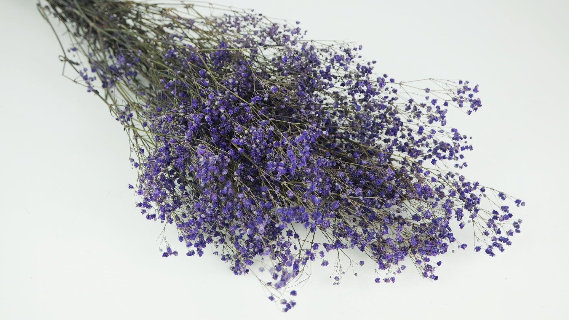 Bouquet de Fleurs Gypsophile Séché 84cm Écru Bouquet de Fleurs Gypsophile Séché 84cm Écru