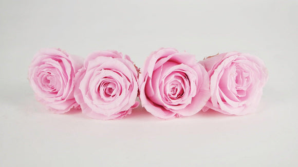 Roses stabilisées 5,5 cm - 4 têtes - Rose clair