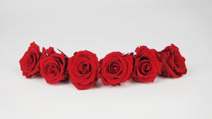 Roses stabilisées 4,5 cm - 6 têtes - Rouge clair
