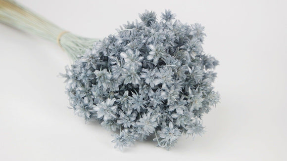 Hill flowers - 1 botte - Bleu gris