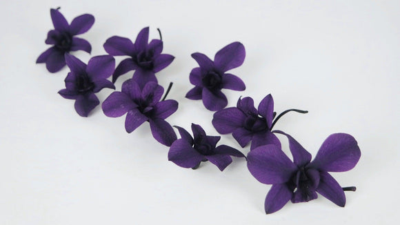 Orchidée Dendrobium stabilisée Earth Matters - 8 têtes - Grape 461