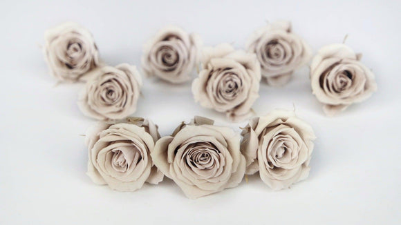 Roses stabilisées Izumi Earth Matters - 9 têtes - Pink beige 081