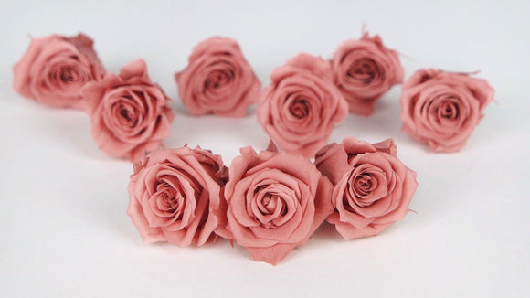 Roses preserved Izumi Earth Matters - 9 heads - Bon bon pink 171