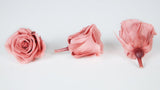 Rosen konserviert Izumi Earth Matters - 9 Köpfe - Bon bon pink 171 - Si-nature