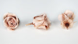 Rosen konserviert Izumi Earth Matters - 9 Köpfe - Mauve pink 192 - Si-nature