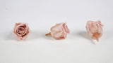 Stabilisierte Rosen Kiara 2 cm - 12 Stück - Antique pink - Si-nature