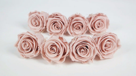 Roses stabilisées Kiara 5 cm - 8 têtes - Antique pink