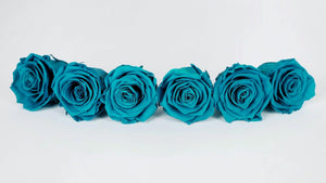 Roses stabilisées Kiara 6 cm - 6 têtes - Aqua marine