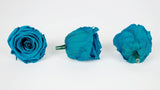 Roses stabilisées Kiara 6 cm - 6 têtes - Aqua marine