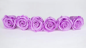 Roses stabilisées Kiara 6 cm - 6 têtes - Baby lili