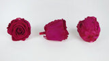 Stabilisierte Rosen Kiara 6 cm - 6 Stück - Hot pink - Si-nature